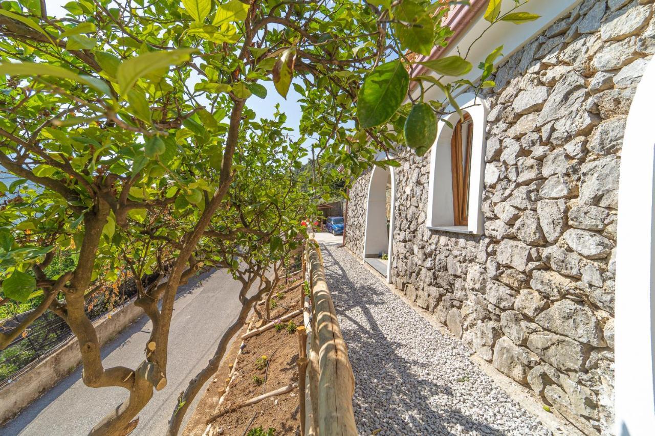 Tra Sole E Limoni Apartments Tramonti Zewnętrze zdjęcie