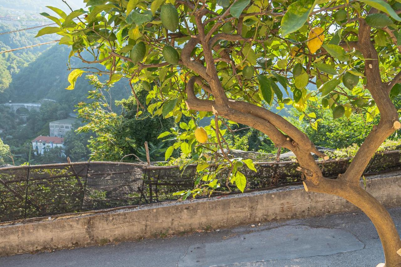 Tra Sole E Limoni Apartments Tramonti Zewnętrze zdjęcie